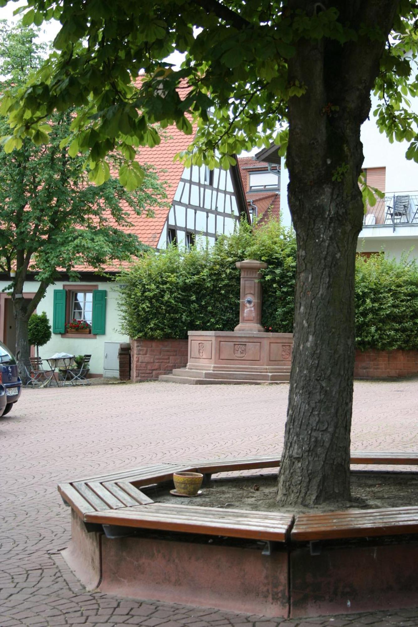 Landhotel Sickinger Hof Walldorf  Esterno foto